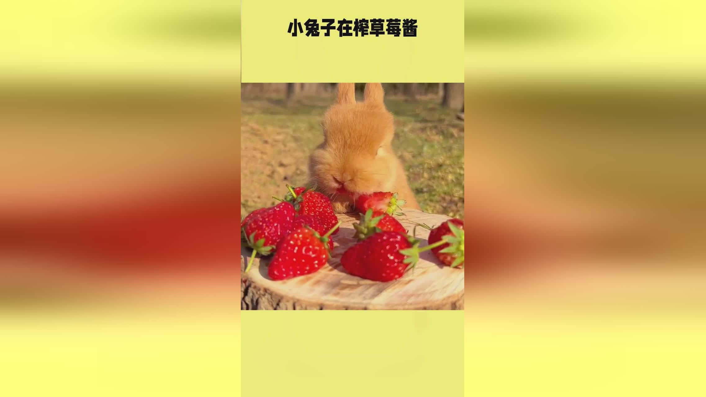 未成 未成自然灾害应对知识