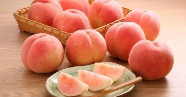 stzhibo在线 在大陆的访问会受到限制