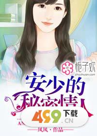 久久精品少妇视频