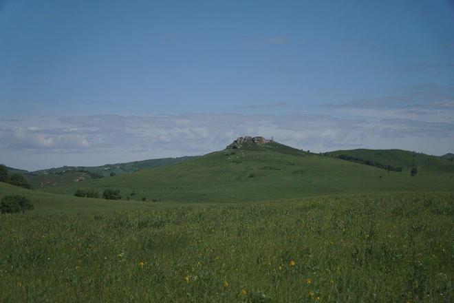 国产精品毛片无遮挡高清 