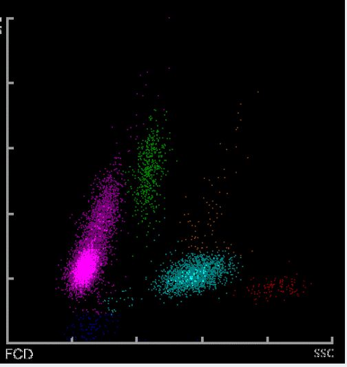 尤果圈视频 提高网络素养：增强辨别能力