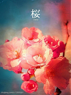 国精品午夜福利视频不卡 精准推送“午夜福利视频”