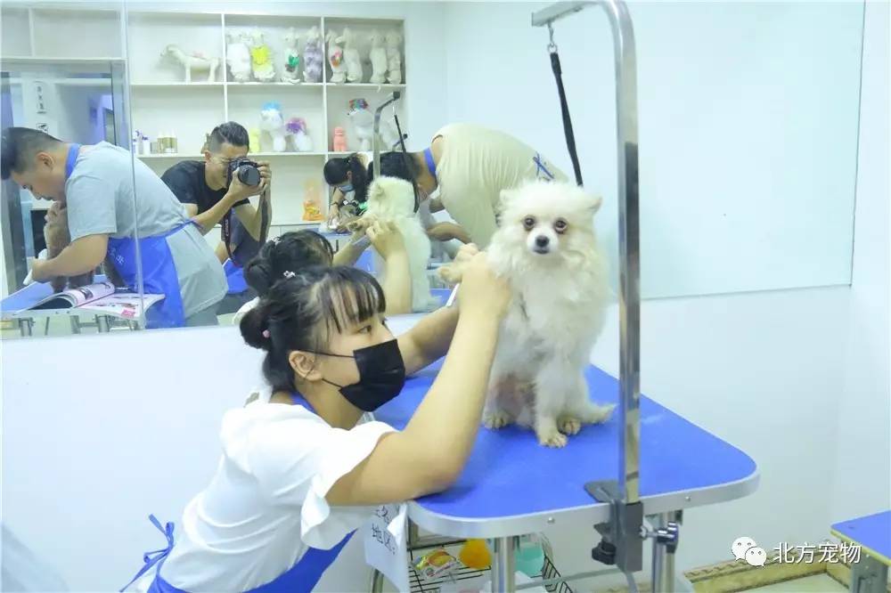 舌吻视频 舌吻视频舌吻视频然而