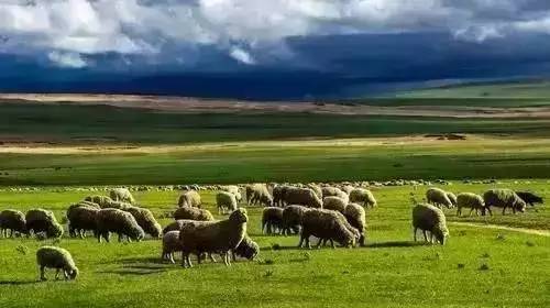 上海舜禹石业有限公司 招标