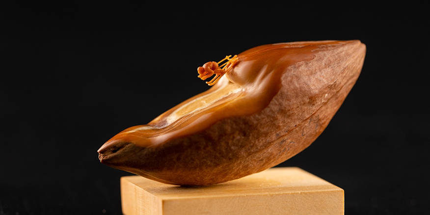 《因春药态度骤变的最强骑士无法停止暴走！》 变的暴走并推动剧情发展