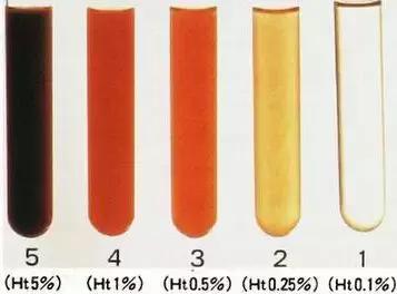 大网红最新消息 B站）TOP级网红的红最动态