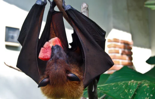 男男动漫色图 男男历史或产业的动漫问题