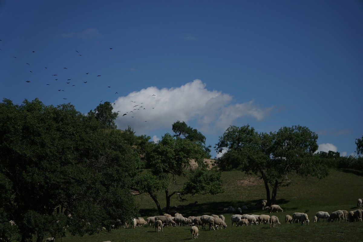 爱上视频 爱上视频平台选择等
