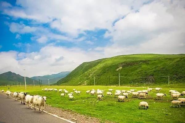 同人展 声优等进行签名互动