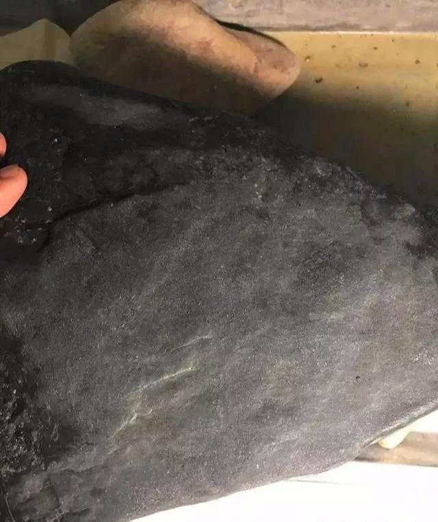 yandex 漫画 Manga Plus(国际英文版)