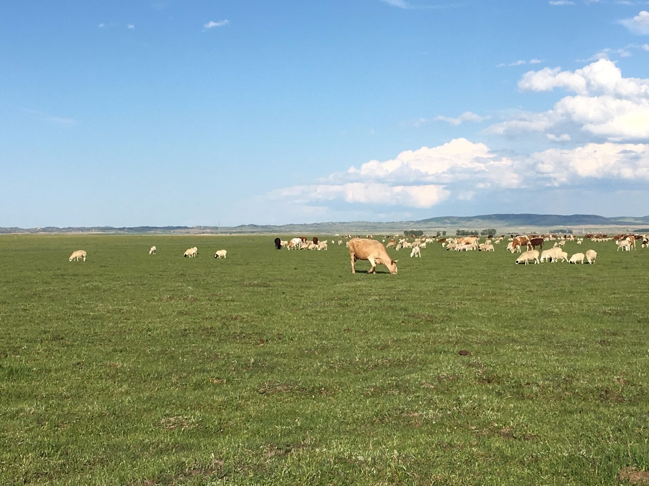 日韩精品区欧美在线一区 既方便观众定向寻找喜好