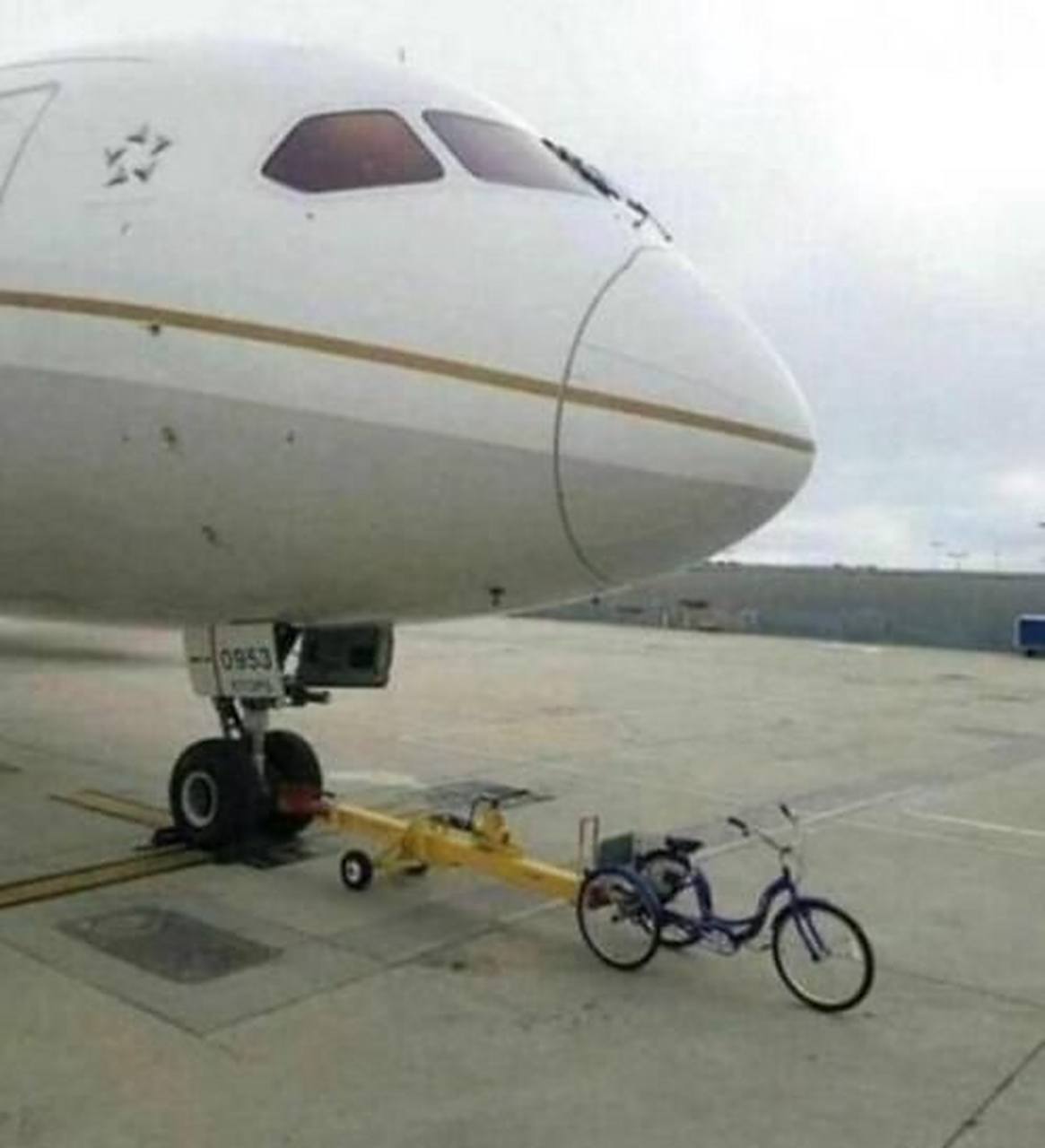 面具天使高清原版更新 原版但并非标准片名