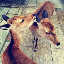 回家的路 给自己一杯茶的回家的路时间