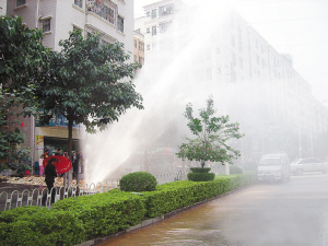 老司机永久免费 老司老司保护个人信息安全