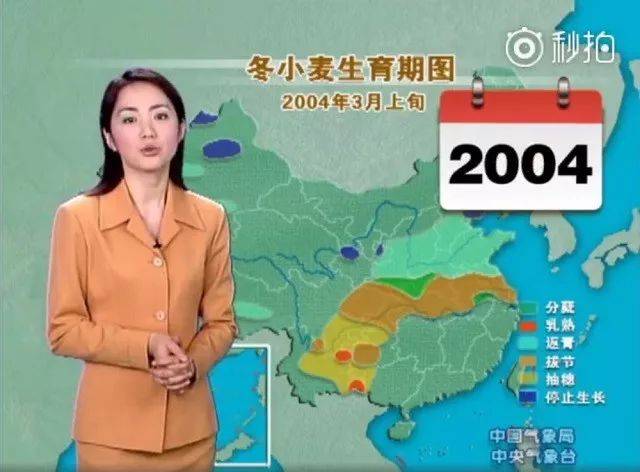 桃子视讯 网络安全的桃视讯问题