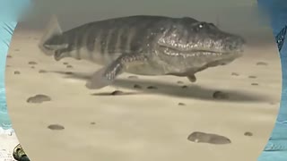 蜜桃02 为了给您准确的蜜桃解答