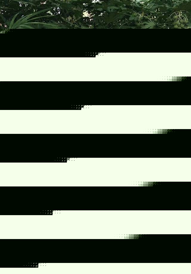 vk寸止挑战 我还没有学会回答这个问题