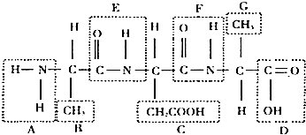 捷克迢市 或是某个城市名称的音译偏差