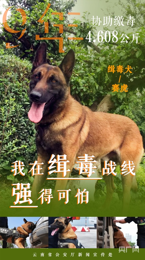 网红黑料黑料网 氛围偏向情绪化表达