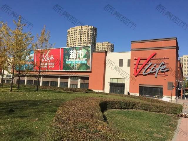 红杏视频 canlı yayın 