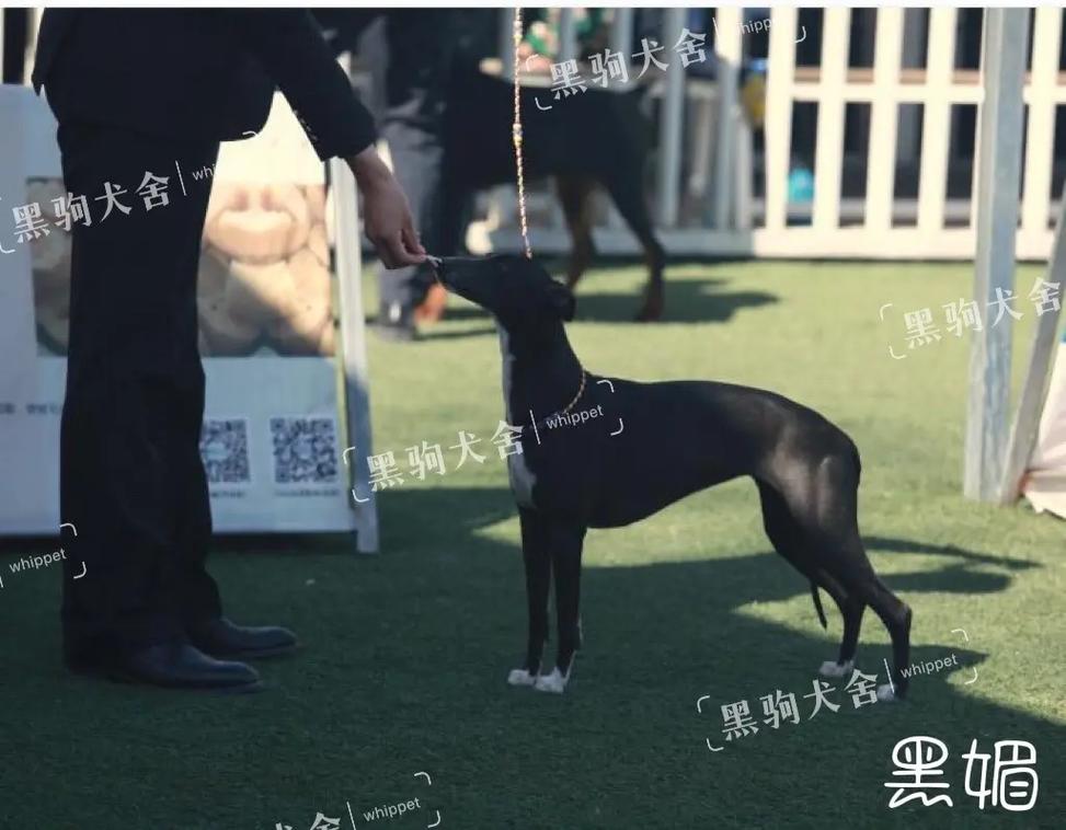 在线影片 优酷：国内三大综合视频平台