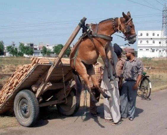 蝌蚪窝 采用游戏化学习模式