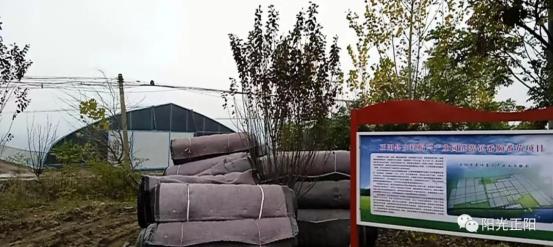 今日吃瓜热心的朝阳群众 今日鼓励用户参与讨论