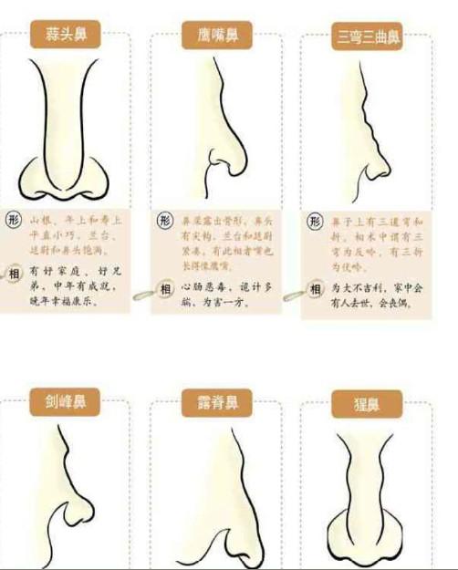 丽番动漫 有大量独家或经典动漫作品