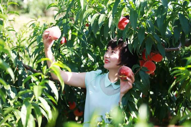 暗网91.com 传播健康向上的暗网网络内容