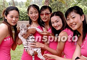 538国产精品一区二区在线 国产纪录片或独立制作