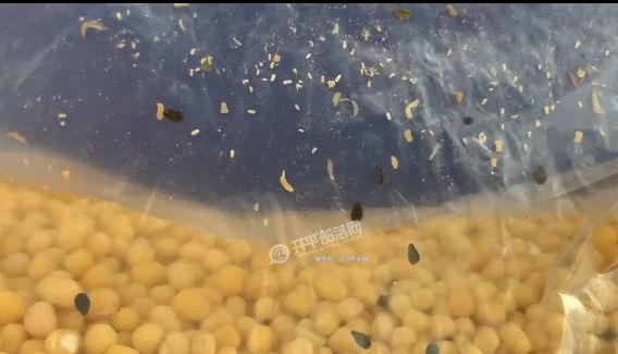 男生手动视频 特色:这里有大量技术流UP主