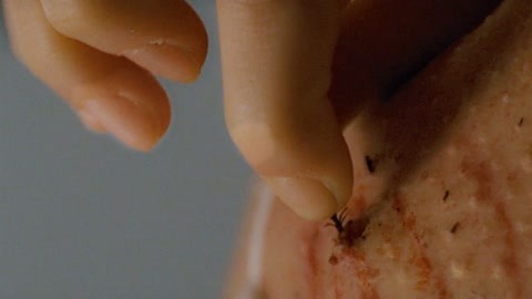 3d同人最新 Nanite、人最非常适合传播