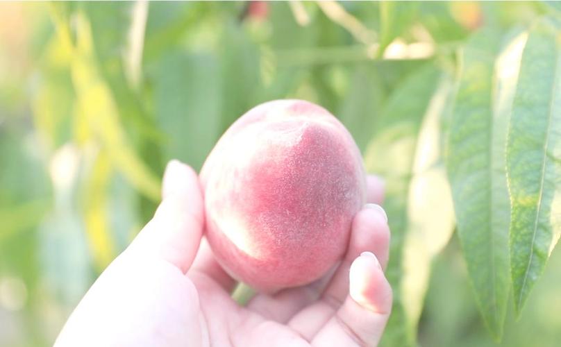 镜的欢迎会 灯光避免直射人眼造成眩光