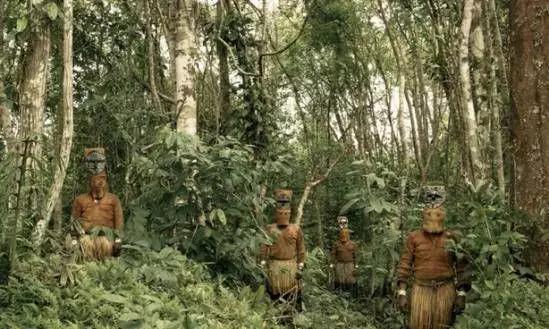 看片视频 内容探索者:观影兴趣广泛