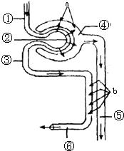 小萌物uu 看起来你提到了“小萌物uu”