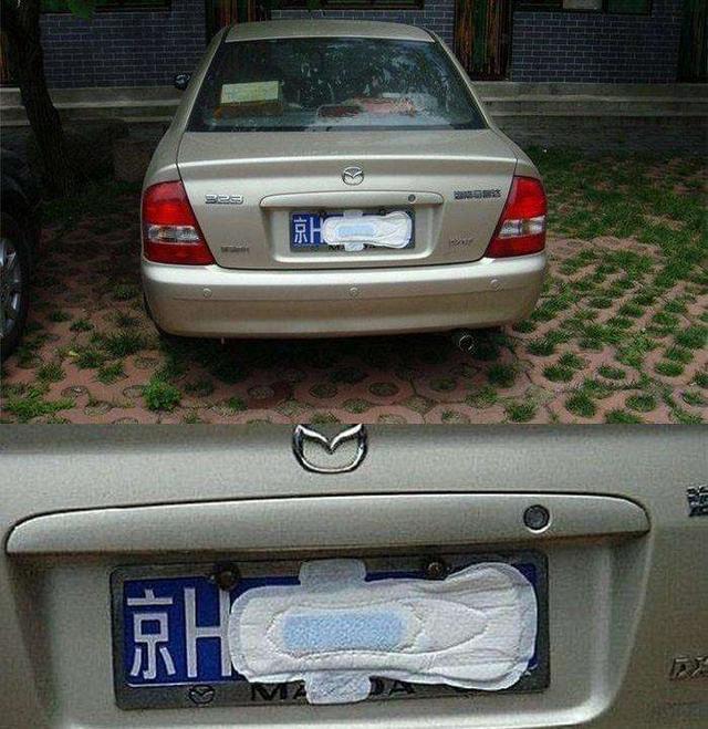 香香公主与爱犬吃瓜 食用后无不良肠胃反应