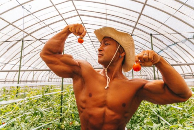 桃花源影视av 积极向上的桃花影视作品