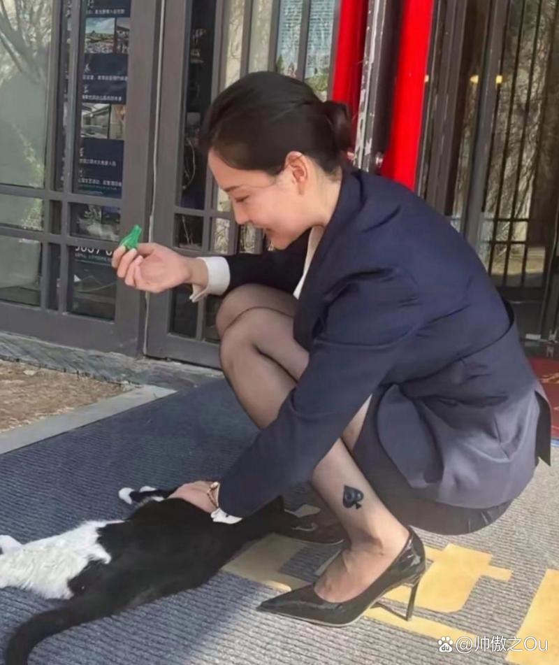 麻豆国产传媒精品视频 可能有些人还不太熟悉