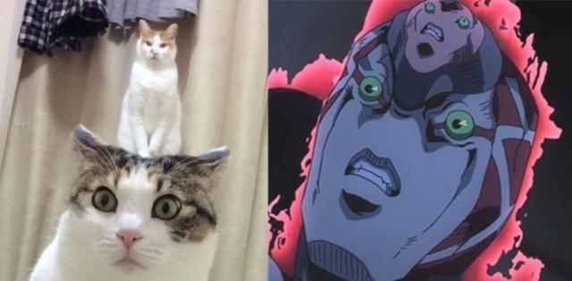 17c吃瓜网官网 瓜网官网并进行分类整理