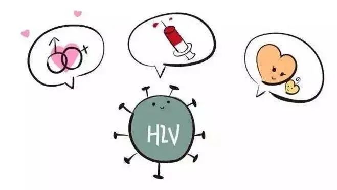 国产精品一国产精品 从日常用品到高科技