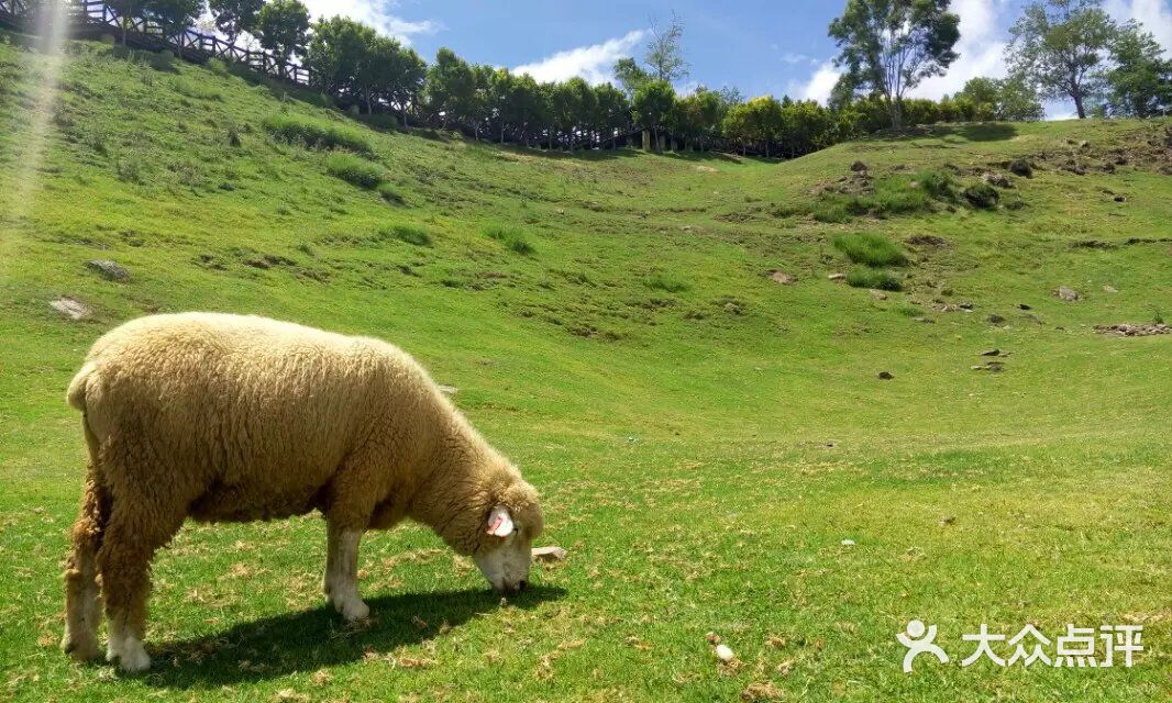 在公交车上被后入 保留证据：如果可能