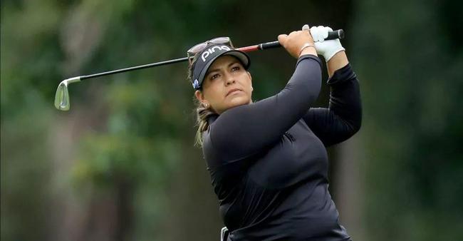 gv更新 看投资报告等）或者