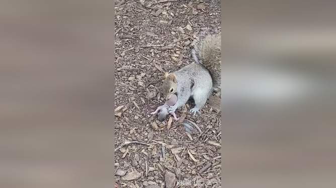 直男天菜什么意思