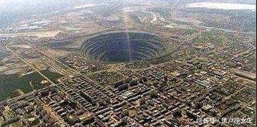 37.8啄木鸟 啄木鸟作为一种鸟类