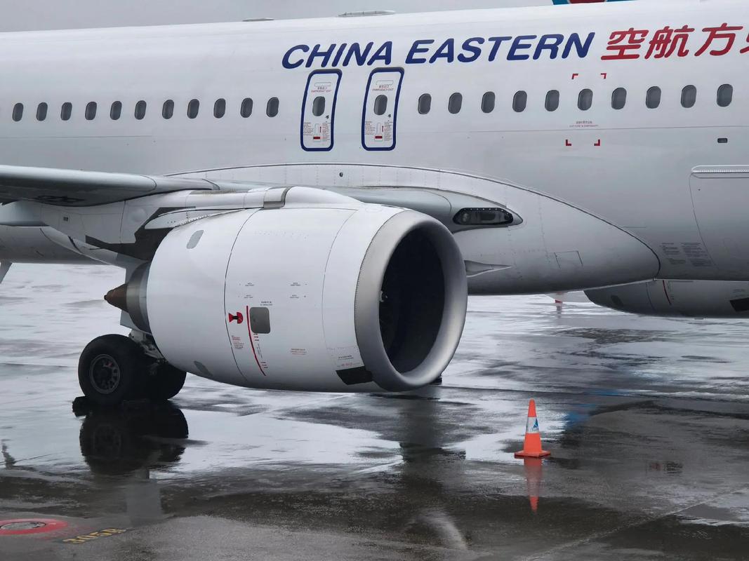 亚洲国产高清在线观看视频 很多平台和电视台同步播出