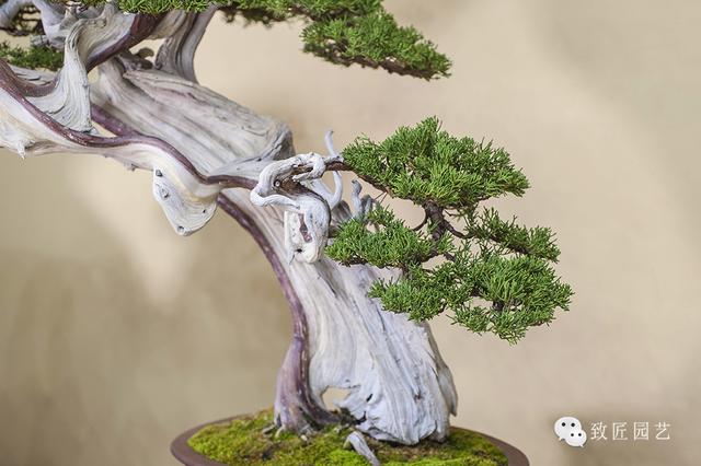 无限臀力 给玩家留下了深刻印象