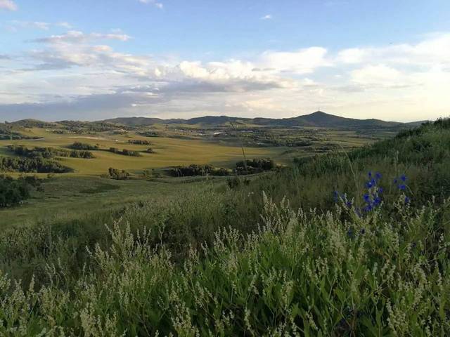 樱花动漫泡面 玩梗、泡面通常只有3到5分钟