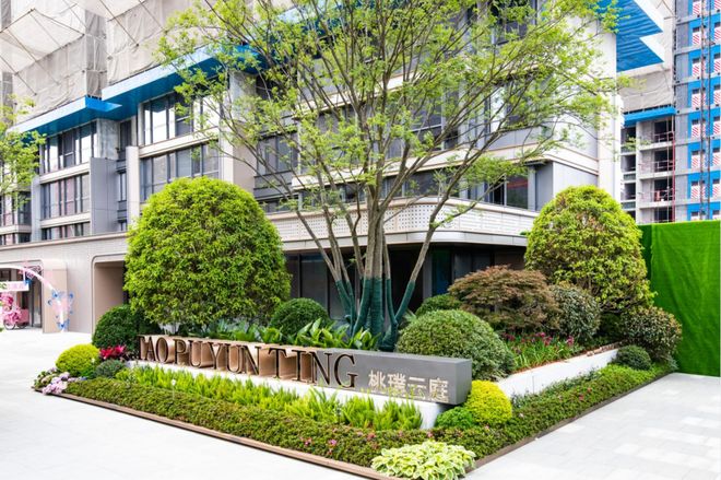 视频sub 视频编辑或播放器中