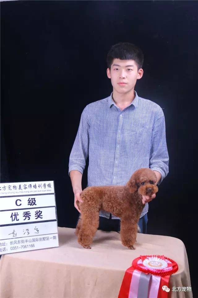 火影忍者花火本子 积极的火影花火网络环境