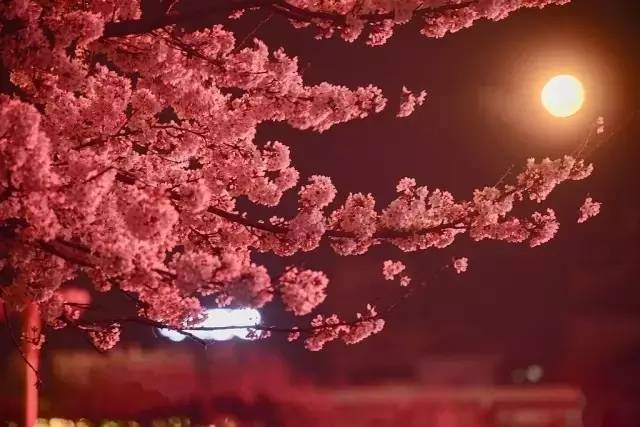 平顶山7男2女 我还没有学会回答这个问题